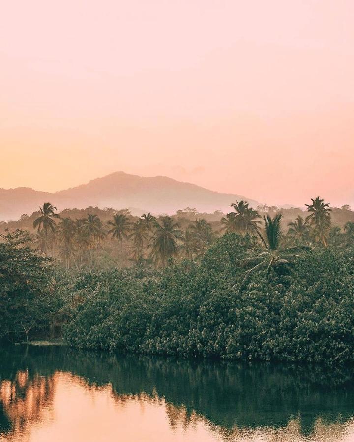 Hotel Jasayma Dentro Del Parque Tayrona เอลไซโน ภายนอก รูปภาพ